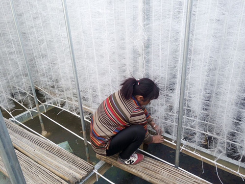 늳؏Sܛ�����ϰ��bʩ���F��