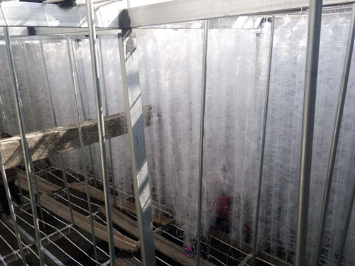 늳؏Sܛ�����ϰ��bʩ���F��